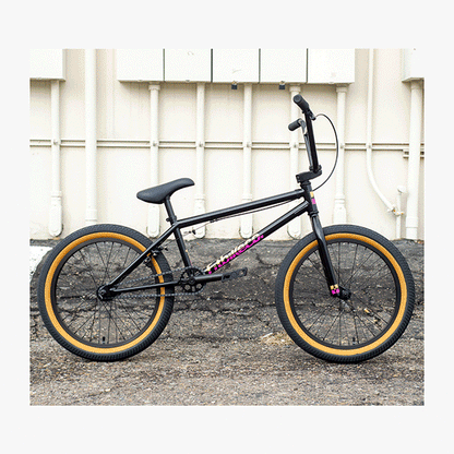FIT Series 1